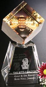 Picture of Awards In Motion® Illumachrome Arcola 8"