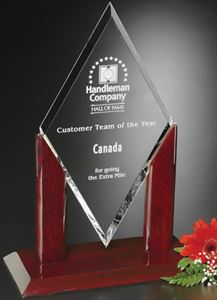 Picture of Quantum Award 13"