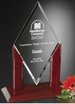 Picture of Quantum Award 17-1/2"