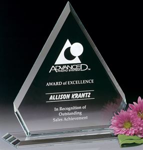 Picture of Dynasty Award 10-1/4"