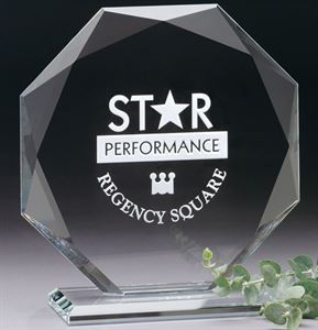 Picture of Omni Award 6-1/2"