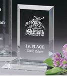 Picture of Argyle Award 6"