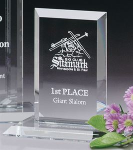 Picture of Argyle Award 6"