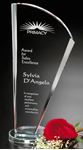 Picture of Merit Award 12"