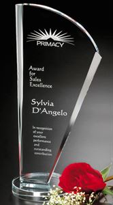 Picture of Merit Award 12"