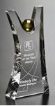 Picture of Triumphant Award 9"