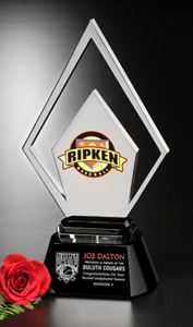 Picture of Winston Award 13-1/2"