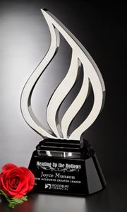 Picture of On-Fire Award 13"