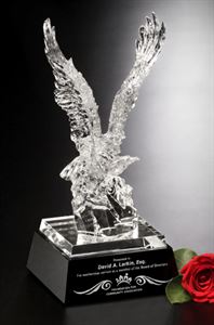 Picture of Journey Eagle 12"