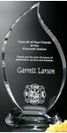 Picture of Flame Award 11"