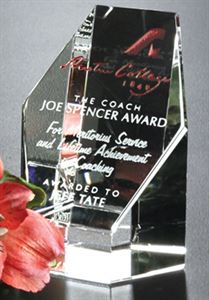 Picture of Citadel Award 3-1/4"