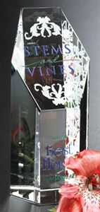 Picture of Citadel Award 5-1/2"