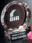Picture of Sundance Award 4" Dia
