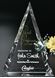 Picture of Palisade Award 10"