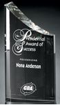 Picture of Pacifico Award 10"