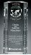 Picture of Capricorn Global Award 10"