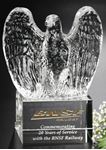 Picture of Golden Eagle 7"