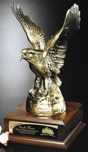 Picture of Noble Eagle 11"