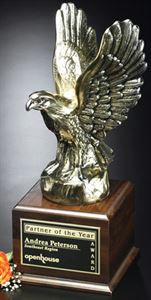 Picture of Fearless Eagle 17"