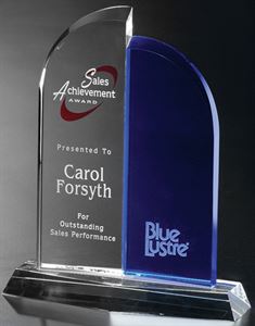 Picture of Brigadier Award 8"