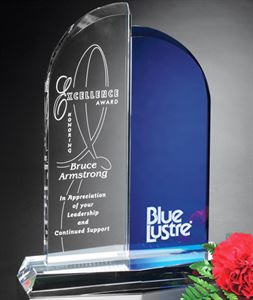 Picture of Brigadier Award 11"