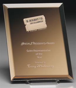 Picture of Imagery Bronze Award 8" x 10"