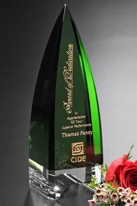 Picture of Culmination Award 9"