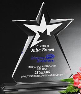 Picture of Guardian Award 10-1/2"