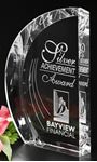 Picture of Regatta Award 7-1/2"
