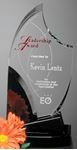 Picture of Panache Award 9"