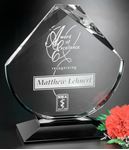 Picture of Debonair Award 9"