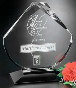 Picture of Debonair Award 9"