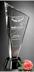 Picture of Invincible Award 10"