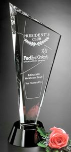 Picture of Invincible Award 14"