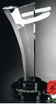 Picture of Innovation Award 12"