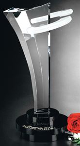 Picture of Innovation Award 12"
