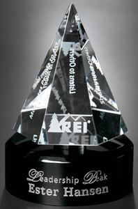 Picture of Awards In Motion® Hexagon - Clear 6"