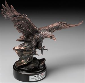 Picture of Soaring Eagle 15"