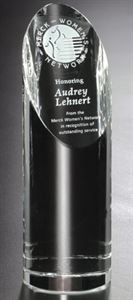 Picture of Quantico Cylinder 8-1/2"