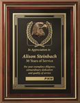 Picture of Americana Shadow Box with Glass 10-1/2" x 13-1/2"