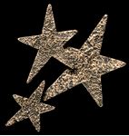 Picture of Star Cluster Bronze Accent