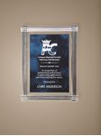 Picture of Large Acrylic Carved Plaque