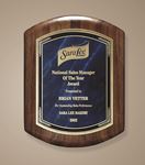 Picture of Large Genuine Barrel Shaped Plaque with Marble Mist Plate