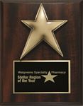 Picture of Walnut Laminated Wood Plaque with choice of Star or Eagle Cast