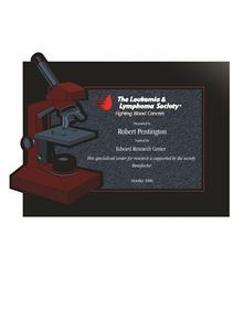 Picture of 1/4" Thick Lucite Custom Shape Plaque Up To 108 Square Inches Overall