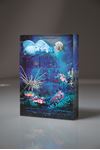 Picture of 7" x 5" x 1 1/2" Large Rectangle Acrylic Infusion