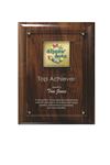Picture of Digi-Color Emblem on Lucite/Genuine Walnut Riser Plaque