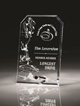 Picture of Starphire Clear Glass with Silver Peg Stand