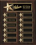 Picture of Vertical Star Border Easy Perpetual Plaque Feature Package