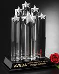 Picture for category Star Award Gallery